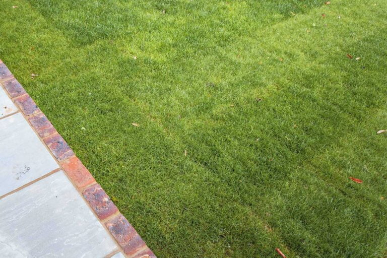 تركيب عشب طبيعي