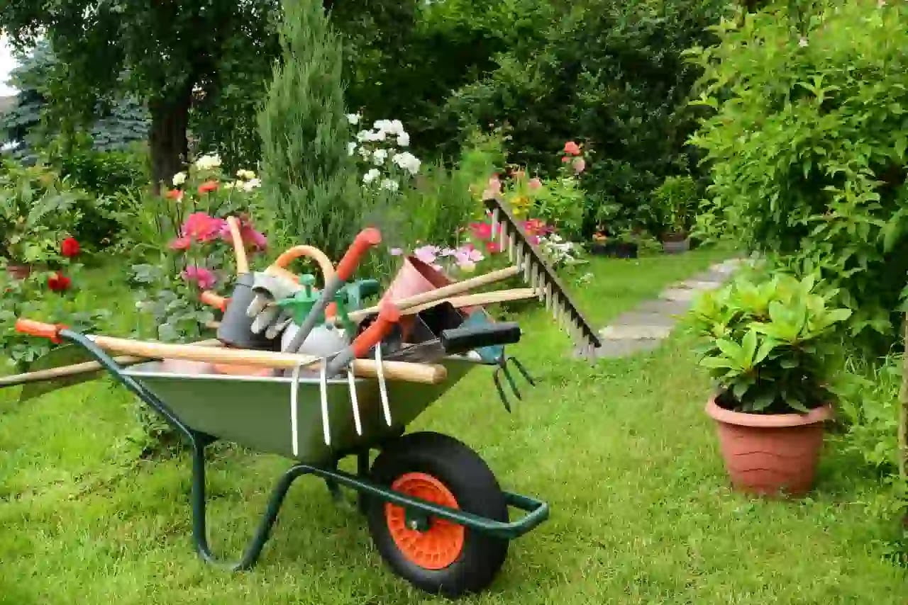 صيانة الحدائق المنزلية