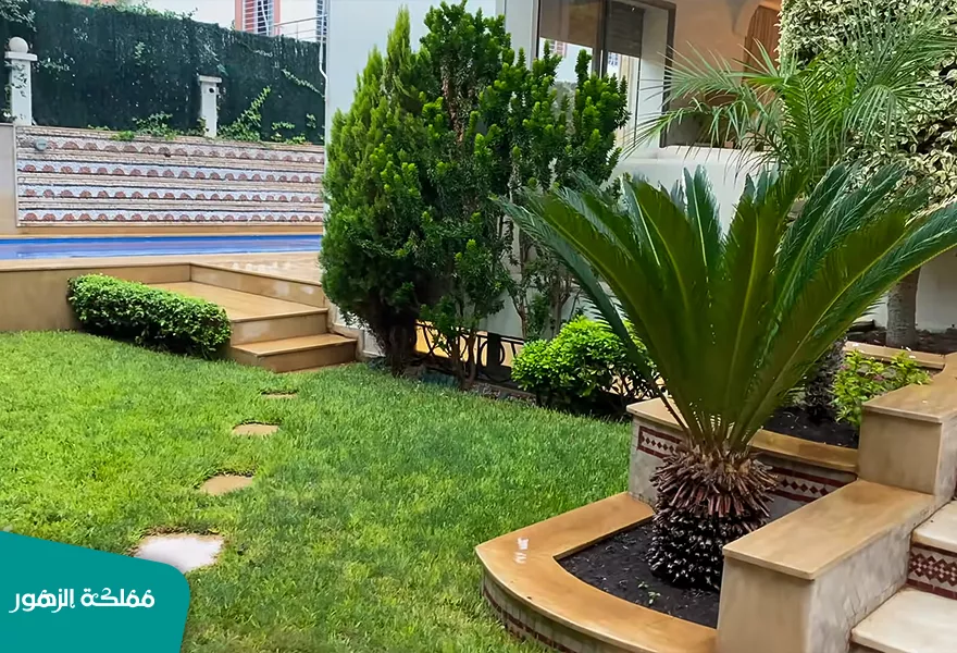 حدائق الدمام حدائق الدمام