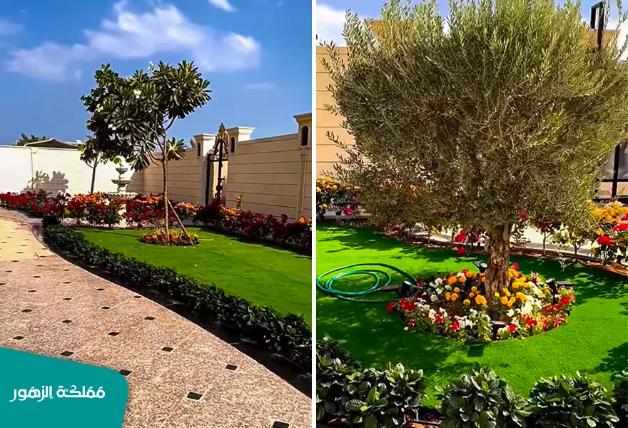 ديكورات حدائق ديكورات حدائق