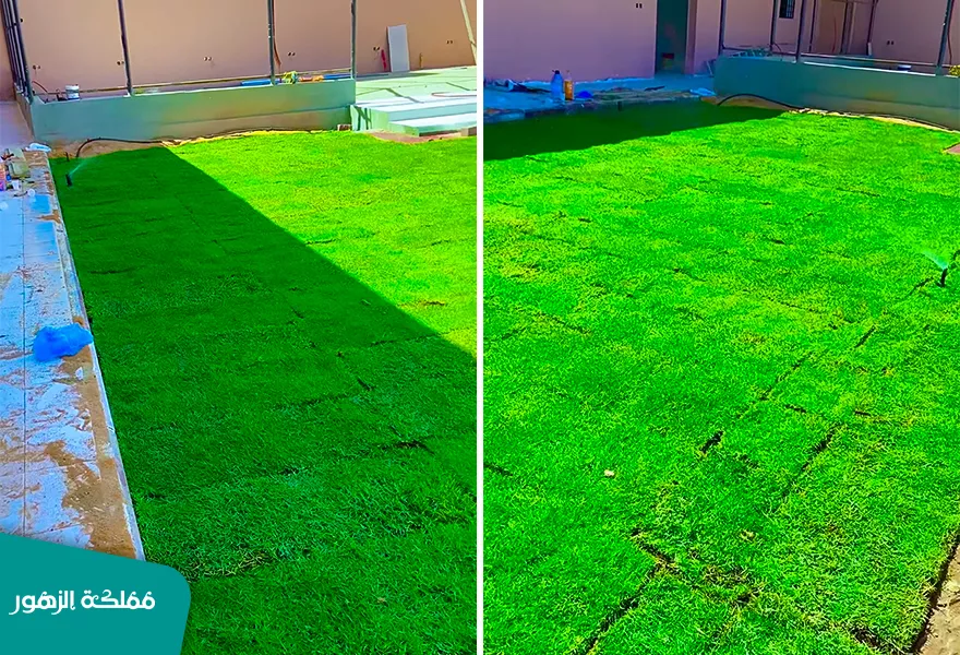 تنسيق حدائق