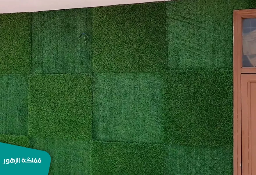 عشب جداري رخيص عشب جداري رخيص