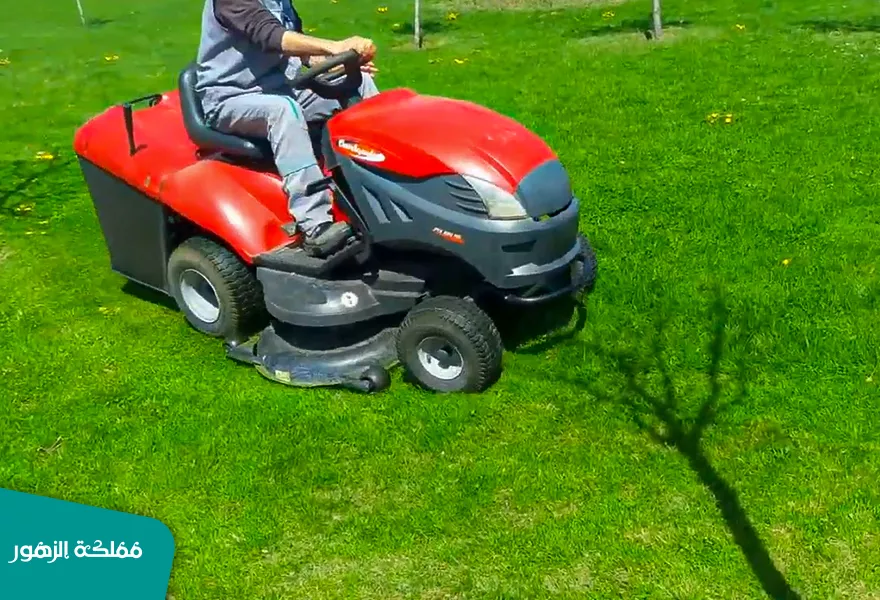 ماكينة قص العشب ماكينة قص العشب