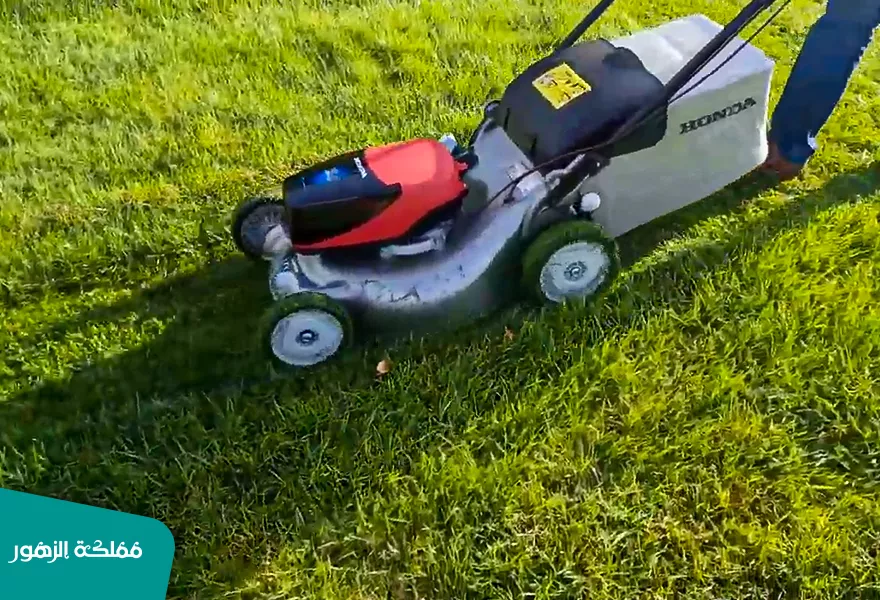 ماكينة قص العشب ماكينة قص العشب