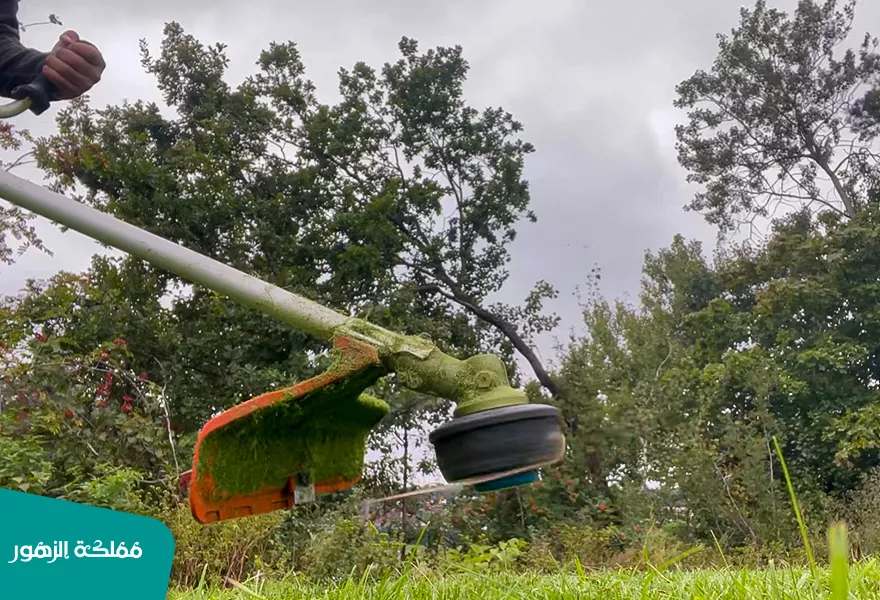 حدائق الرياض حدائق الرياض