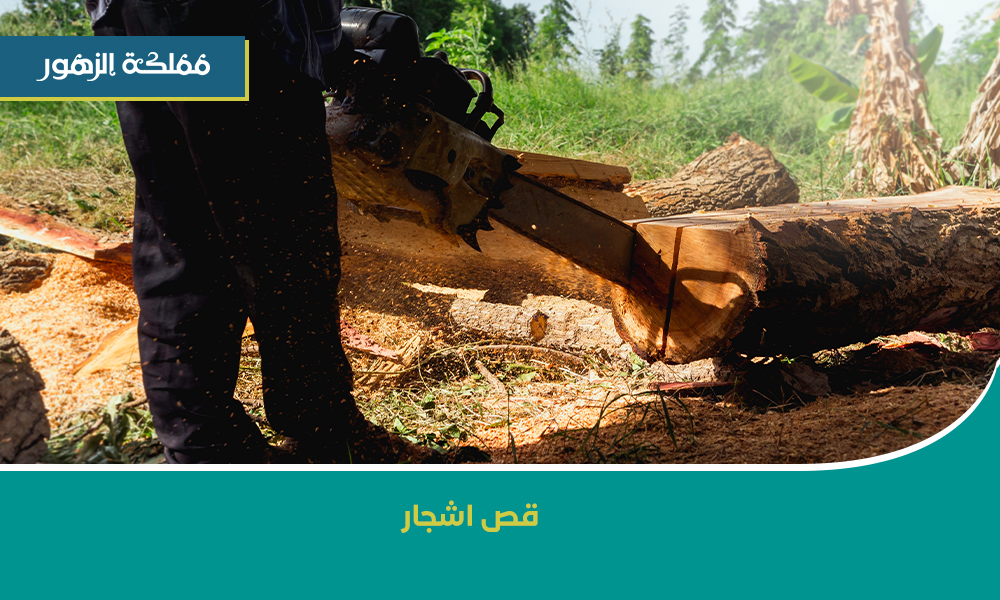 قص اشجار الرياض