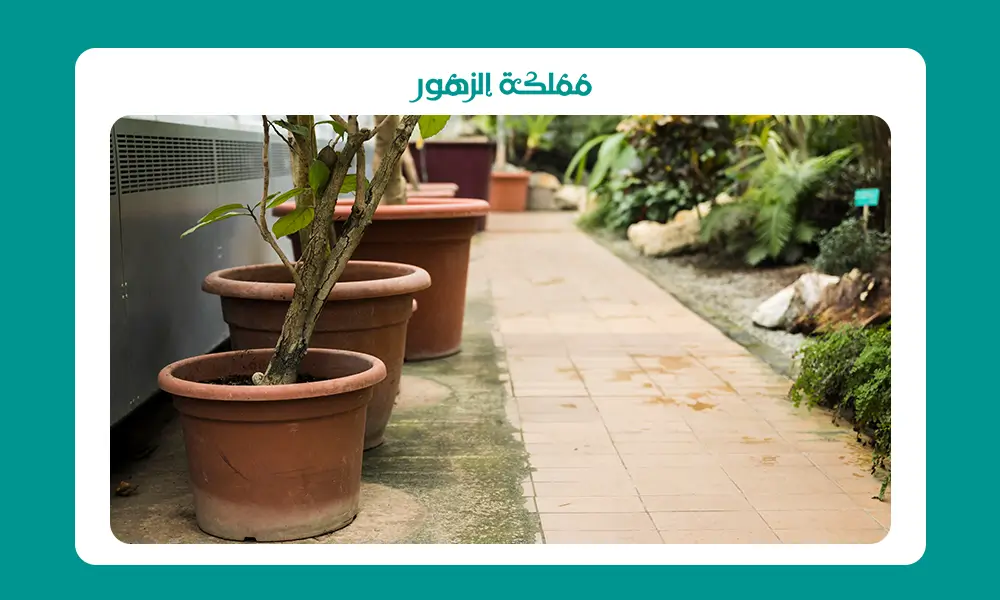 تصاميم ارضيات حدائق منزلية بالصور