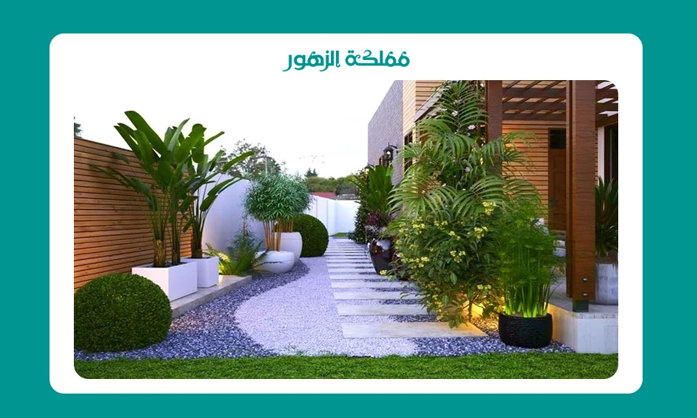 تصميم حوش البيت