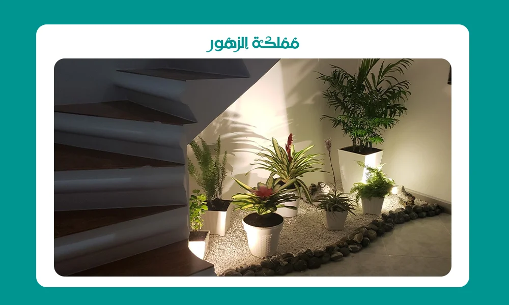 تنسيق تحت الدرج