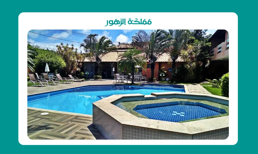 زراعة النخيل في المنزل