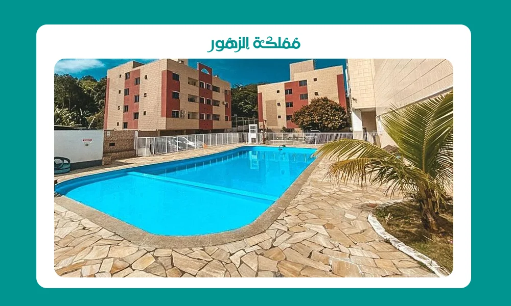 زراعة النخيل في المنزل